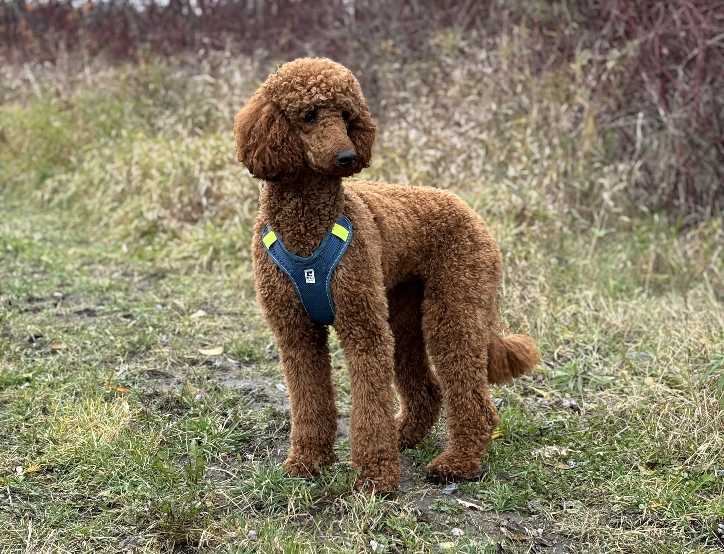 Cours test de Catherine